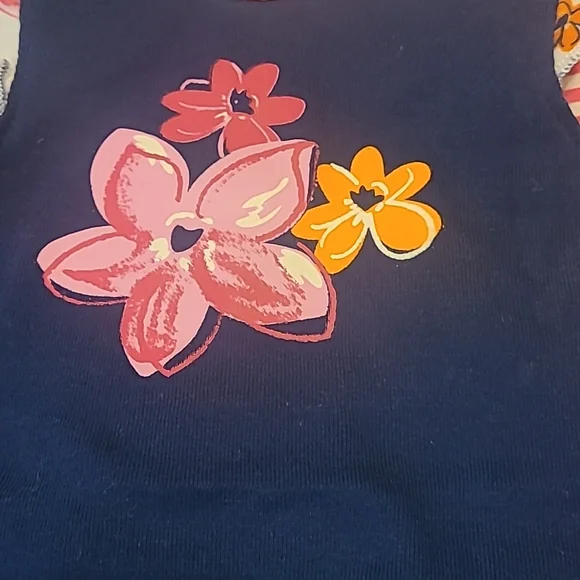 Large Lot of Girl Onesie's 3-6M - Picture 3 of 7